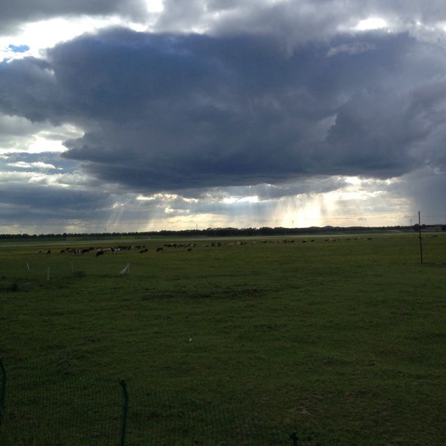 要我怎么忘了她 - 行者-永刚 唱吧,最时尚的手机