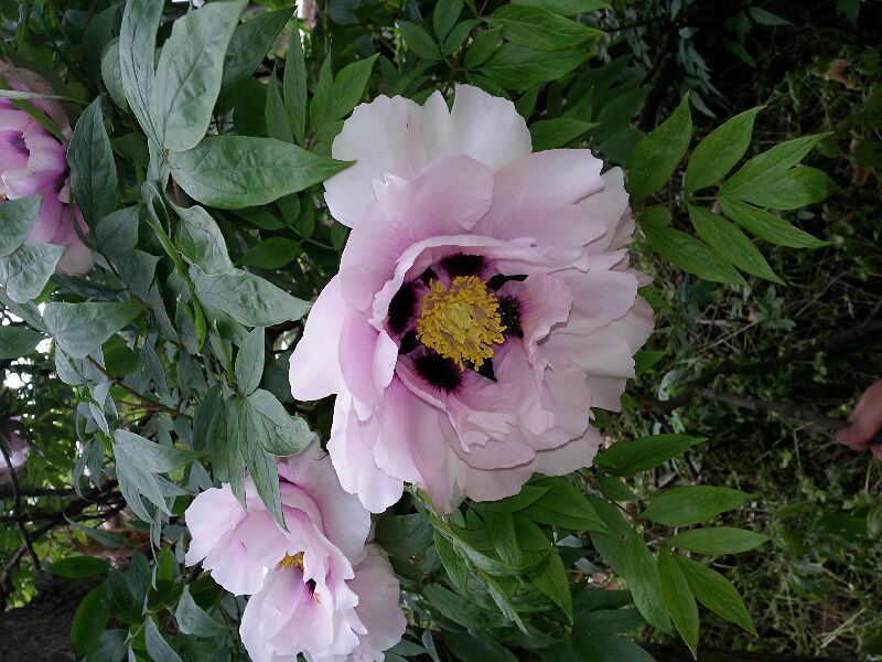 爱你十分泪七分 - 晶惜 唱吧,最时尚的手机KTV