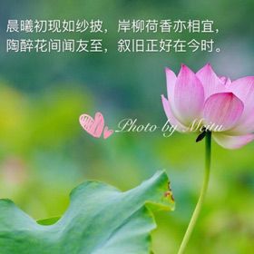 我祝福你听见了吗简谱_我愿你祝福图片(2)