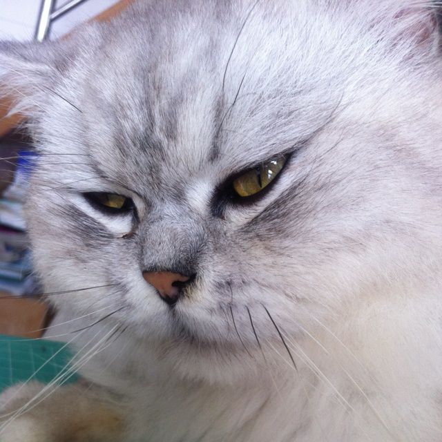 分分钟需要你【改版】 - Derek_陈某 唱吧,最时