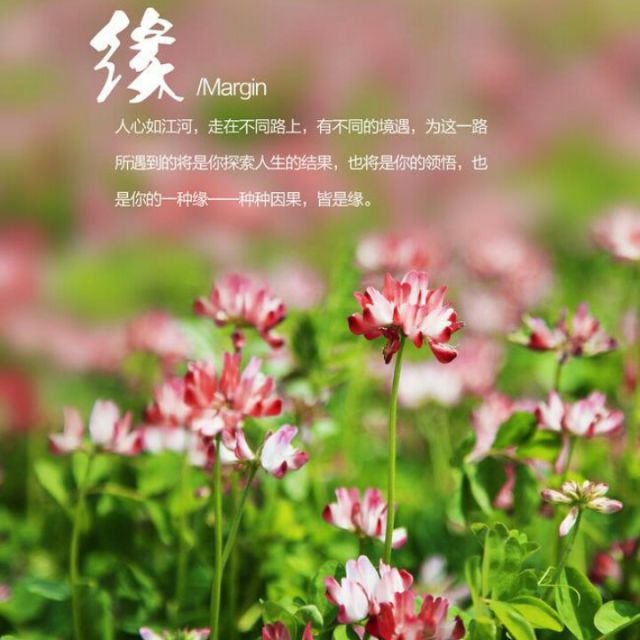 无法左右的 就随缘吧【知心夜听电台】