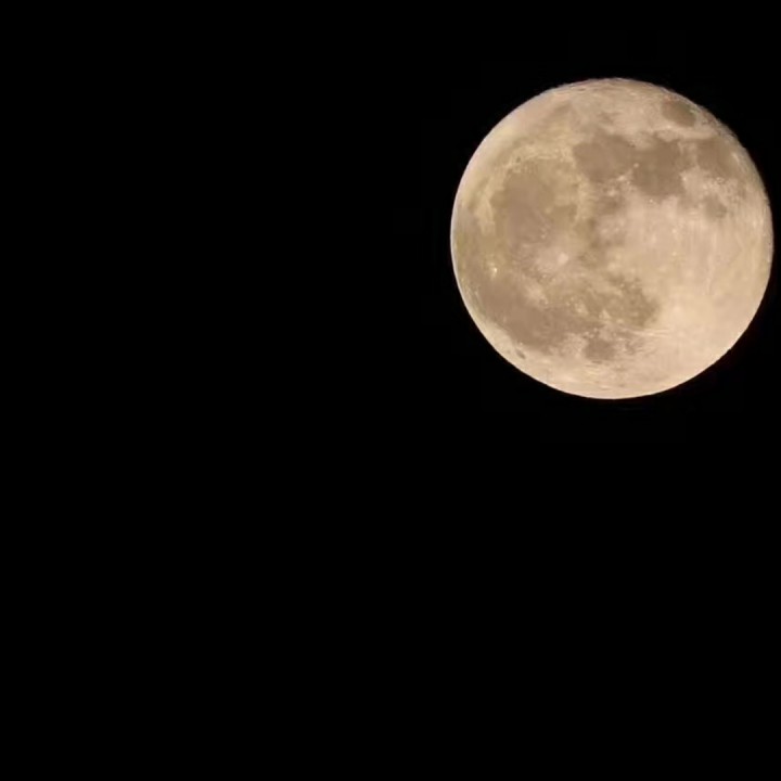 大会堂演奏厅【钢琴版】