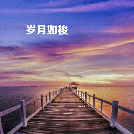 做你的雪莲 【天天乱弾琴】 - 岁月如梭 唱吧,最