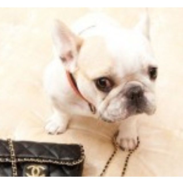 人去楼空空寂寂_人去楼空空寂寂伴奏_越剧人