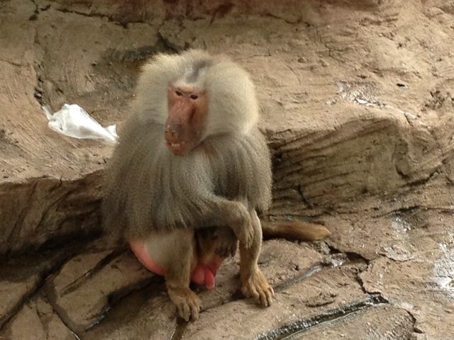 做我老婆好不好 - 粑粑老公 唱吧,最时尚的手机