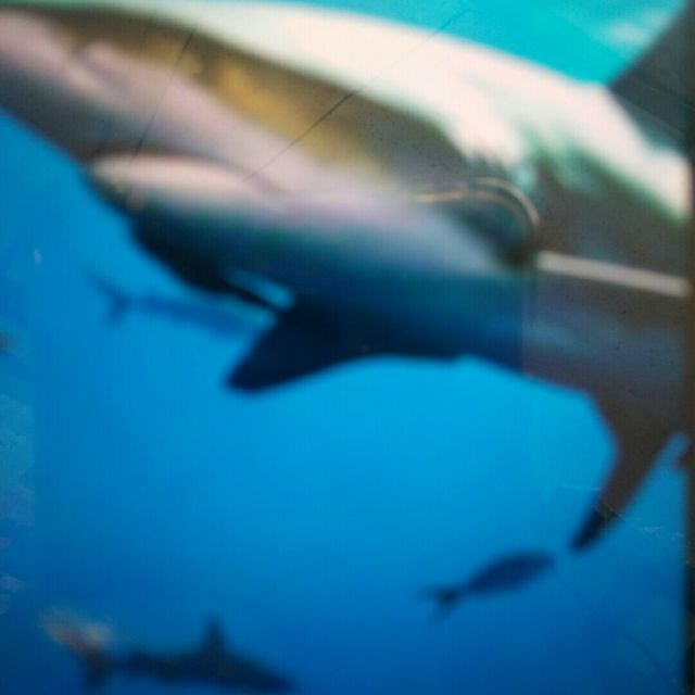 映山红【DJ版】