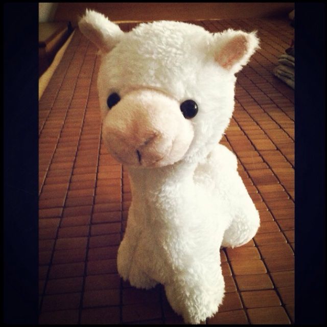 悲歌之王 - 小飞侠linus 唱吧,最时尚的手机KTV