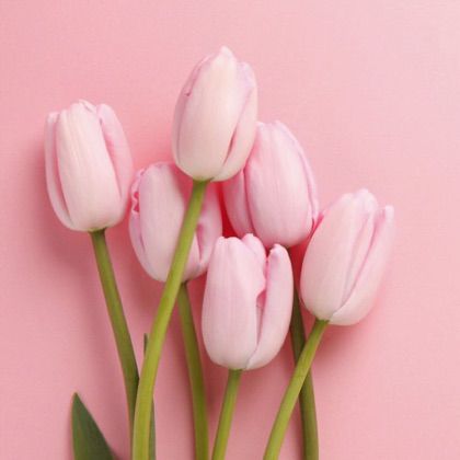 不能承受的感动