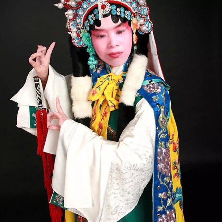 扬剧玉蜻蜓 游庵定情 下