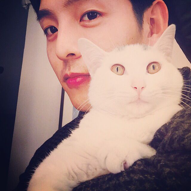 没那么简单 - 金浩森 唱吧,最时尚的手机KTV