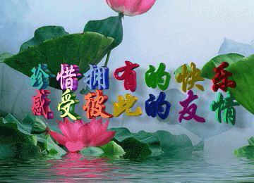 你是我一生最爱的人 - 蓝鲸生日快乐 唱吧,最时