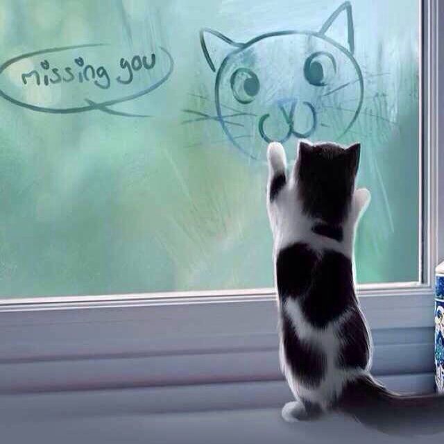 321对不起 - xueaiyan 唱吧,最时尚的手机KTV