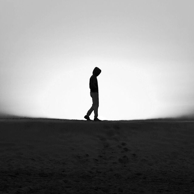 爷们别说累《淡墨画秋颜》