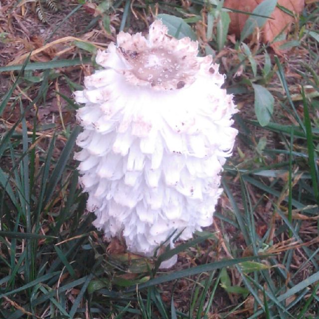 台北的机场 - 二多爹 唱吧,最时尚的手机KTV