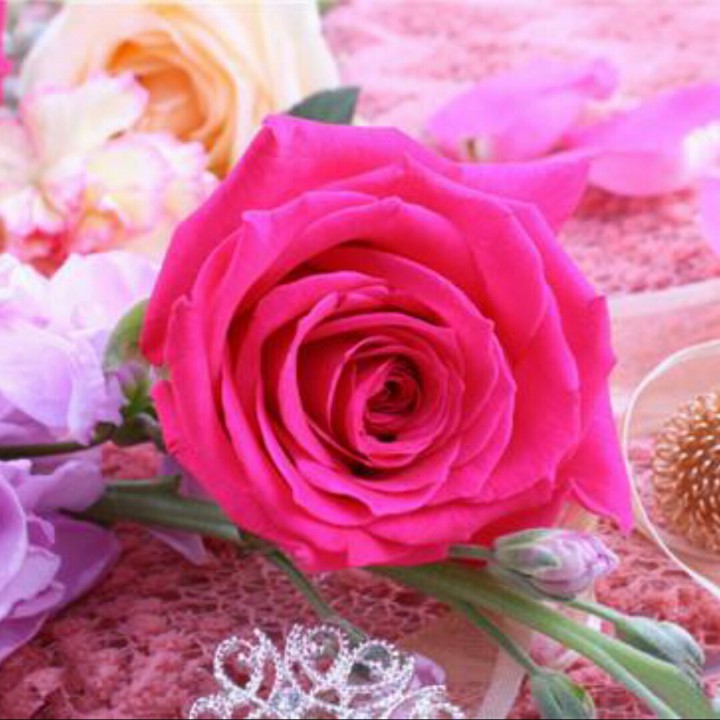 一百万个可能【dj版】