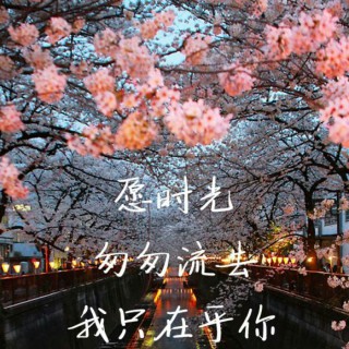 我只在乎你