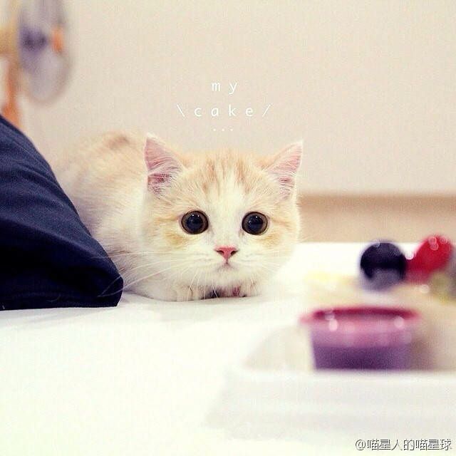 <em>最佳损友</em>【<em>女版</em>伴奏带词】 - 枕头喜欢喵喵叫 