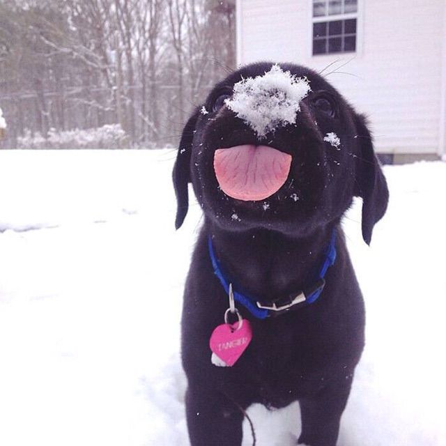 BABY对不起 - Sara-牙牙 唱吧,最时尚的手机K