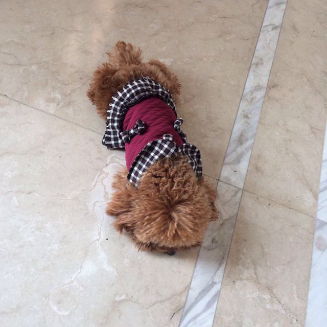 我离开我自己 - 欲望收买人心- 唱吧,最时尚的手