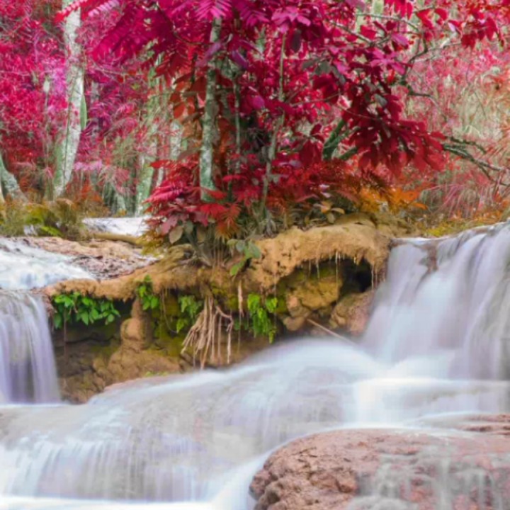 《花桥流水》简谱