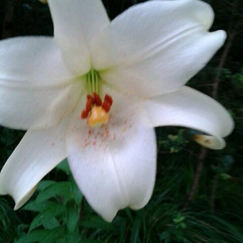 红楼梦-<em>想当初妹妹</em>从江南初来到 - L_小花 唱吧