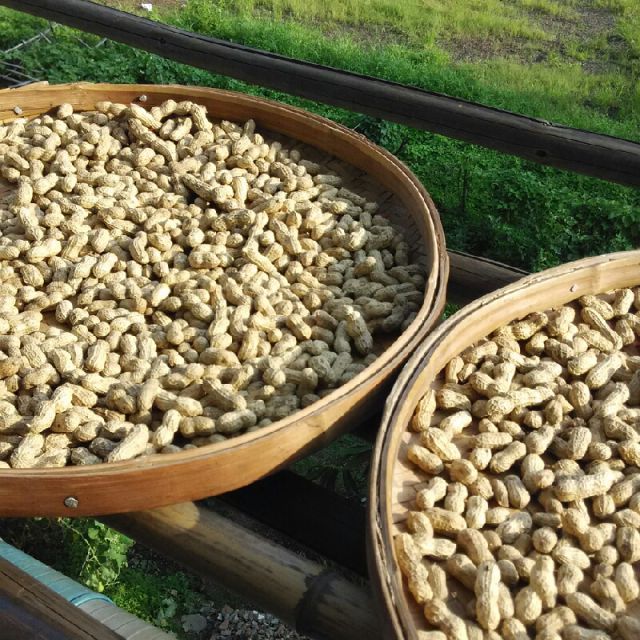 【纯人声伴奏】Secret base - 抚月光 唱吧,最时