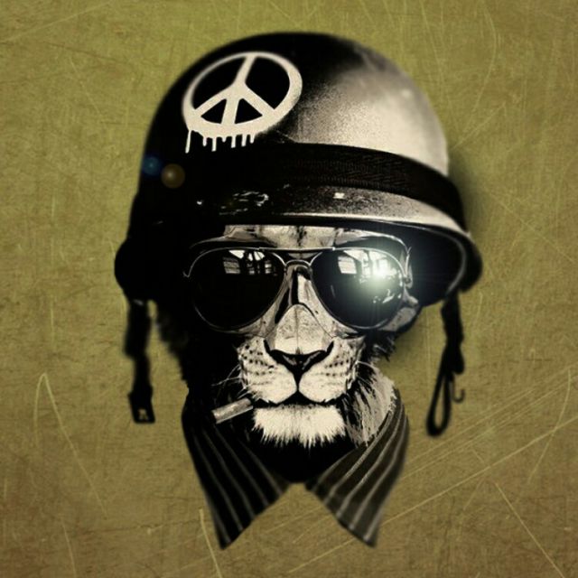 我到外地去看你 - 左灀无 唱吧,最时尚的手机KT