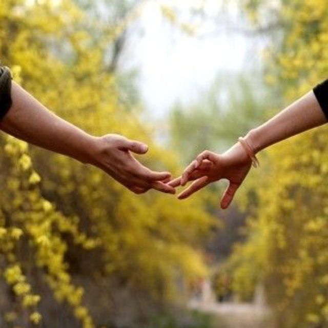 天也不懂情【合唱字幕】