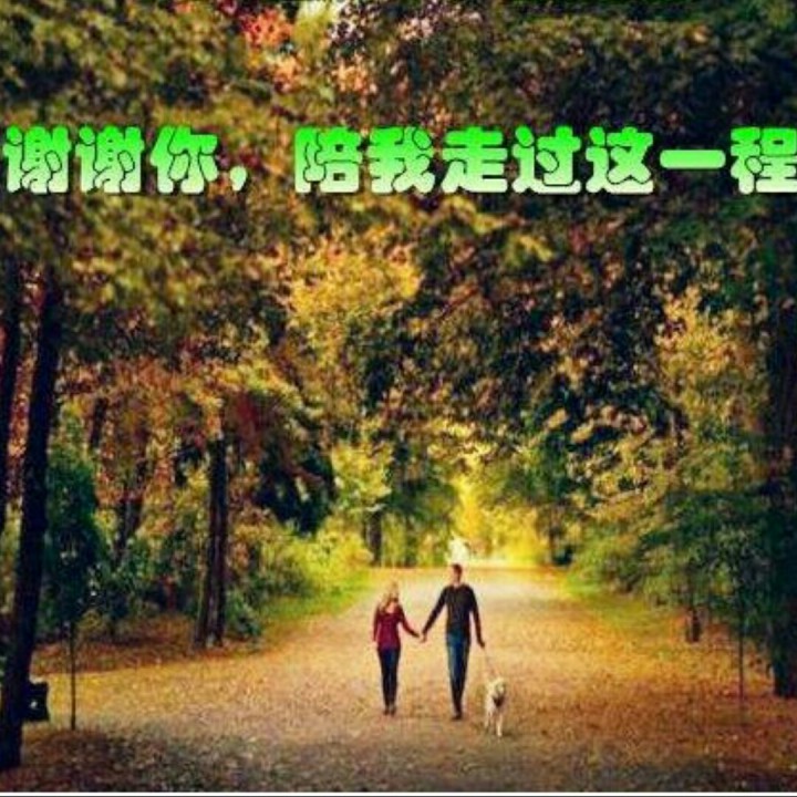 谢谢你陪我走过这一程