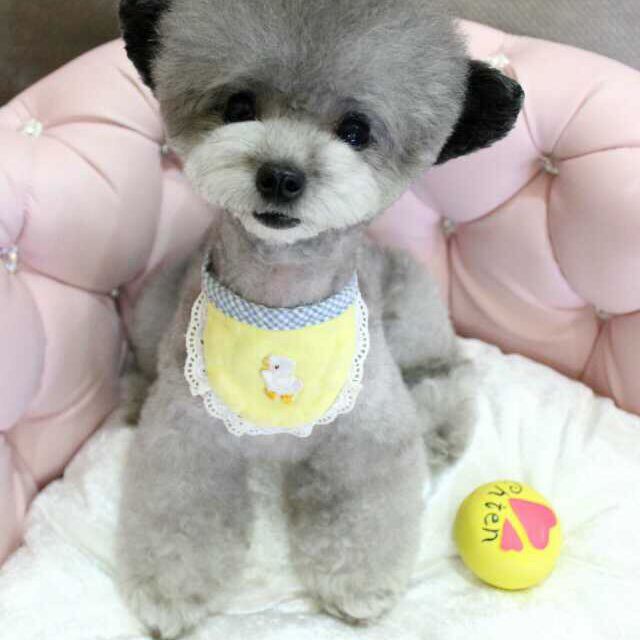 泪满天【无旁白】 - 灰色秋天╮ 唱吧,最时尚的