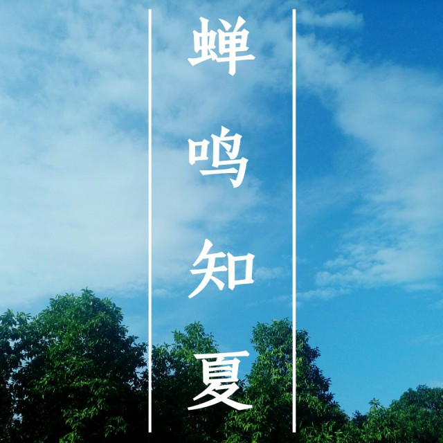 蝉鸣知夏 带你一起去看世界 唱吧,听见歌声遇见你