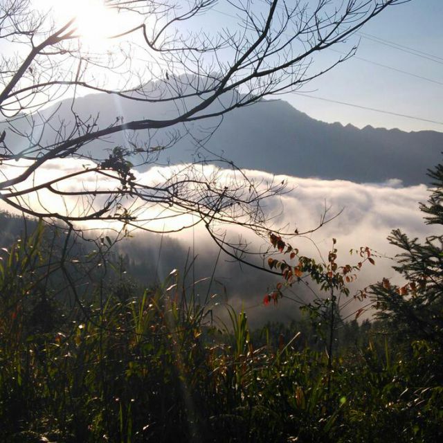 突然好想你【原版伴奏】