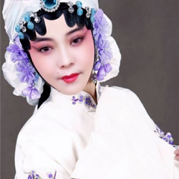 牢房-黄梅戏《半边月》选段