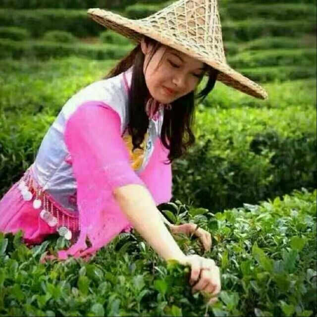 莆仙戏 春草闯堂 选段 逢大案