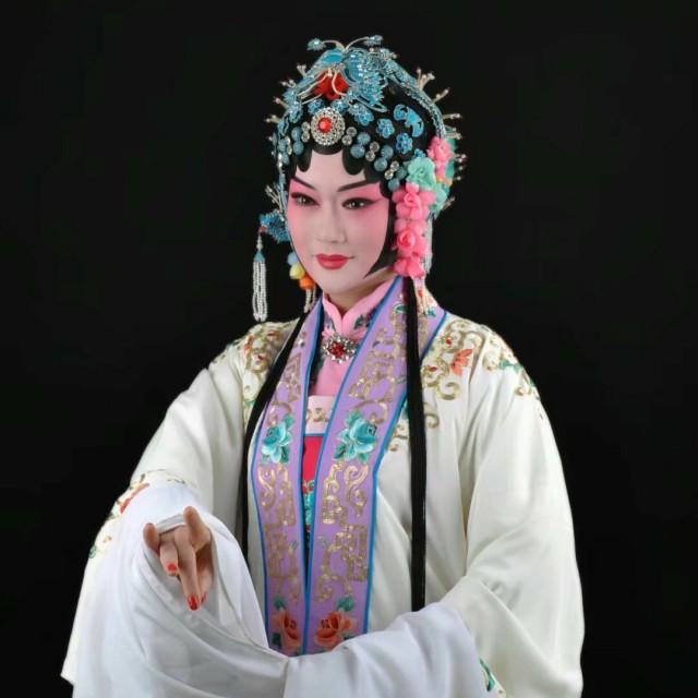 豫剧《英娘》望天际雁南归(伴奏)【党玉倩】