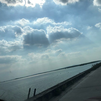 要我怎么忘了她