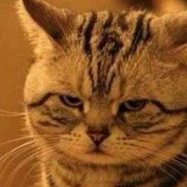 梁山伯与茱丽叶 - Z_D-东-min-每攵- 唱吧,最时尚