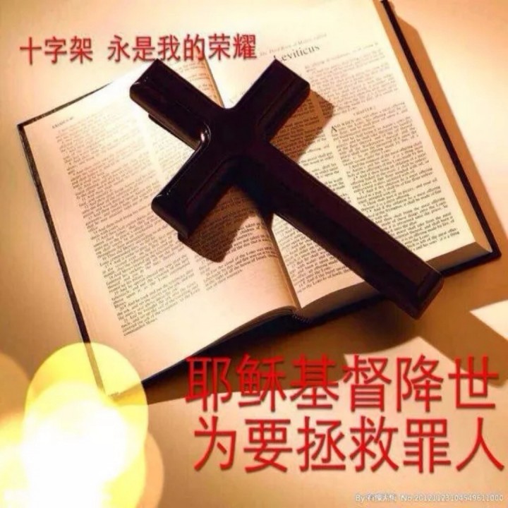 赎罪的羔羊【加速版】