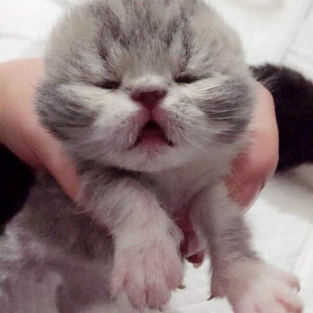 你快回来