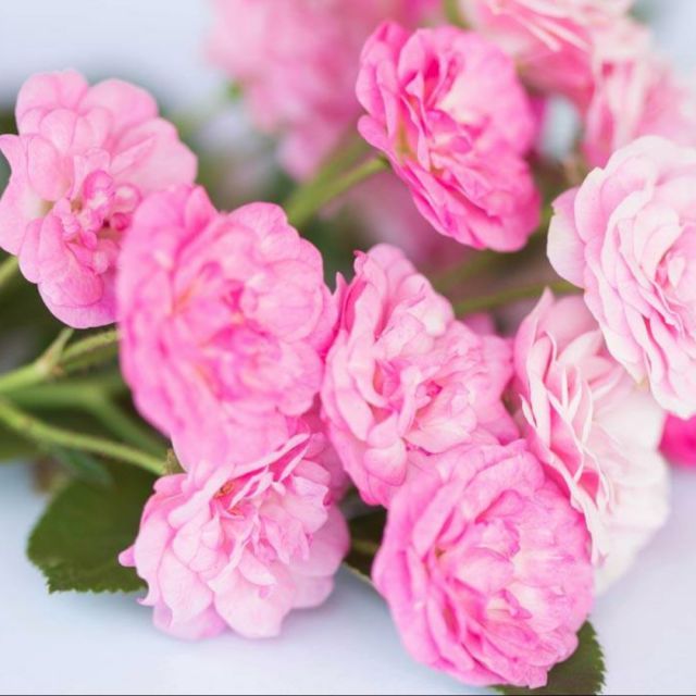 时间煮雨【原版伴奏】