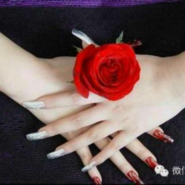 情罪 - 哭泣的百合爱你 唱吧,最时尚的手机KTV