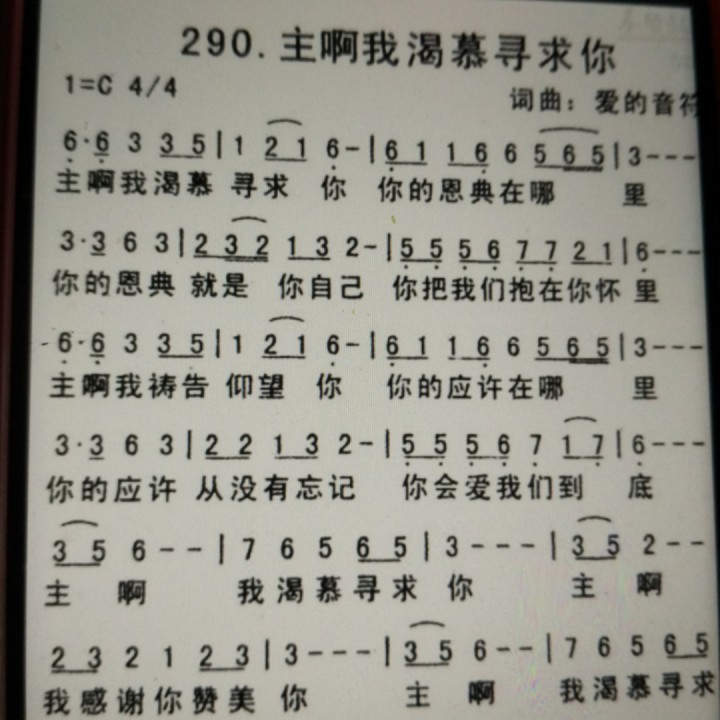 主你永恒不变的爱【女版c调无旋律】