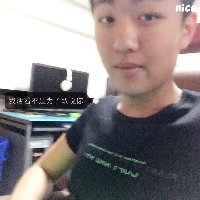 酷酷的鑫仔