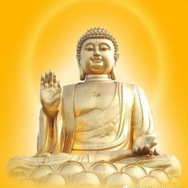 人海难得一知己【原版(yhy回譩)】 - 爱情雨花