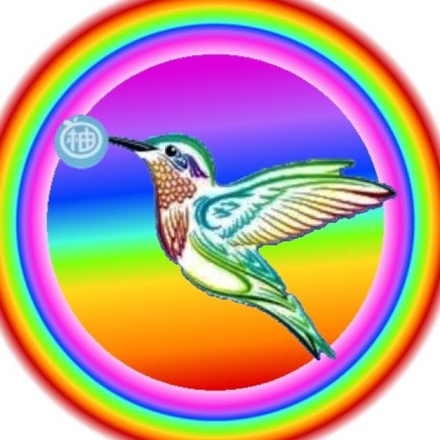 葫芦丝F调伴奏-竹楼情歌