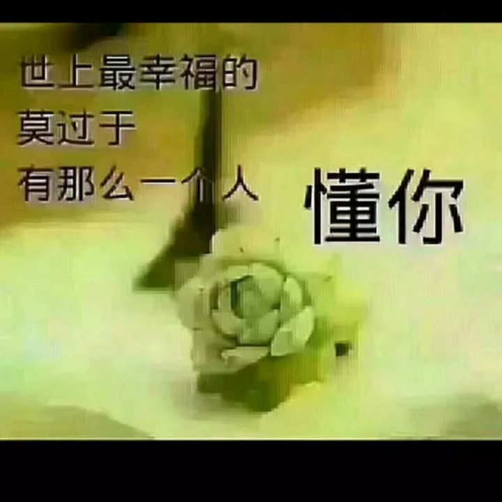 该死的懦弱