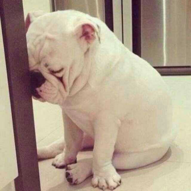 无言的结局 - Lucifer晴天 唱吧,最时尚的手机KT