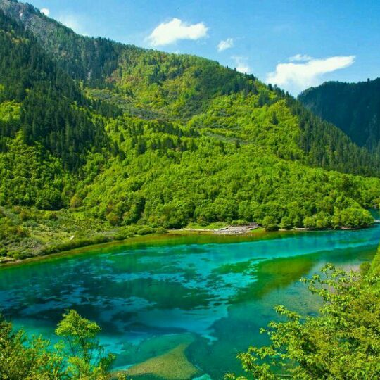 世界上最伤心的人