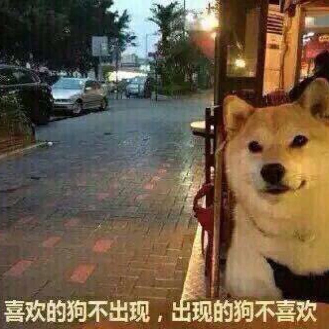 哎呦喂