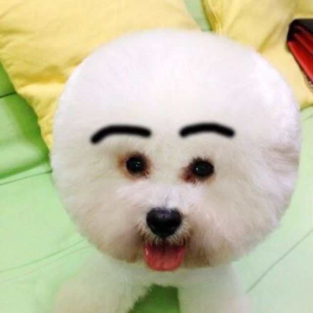 love come undone - 雯纸童鞋 唱吧,最时尚的手